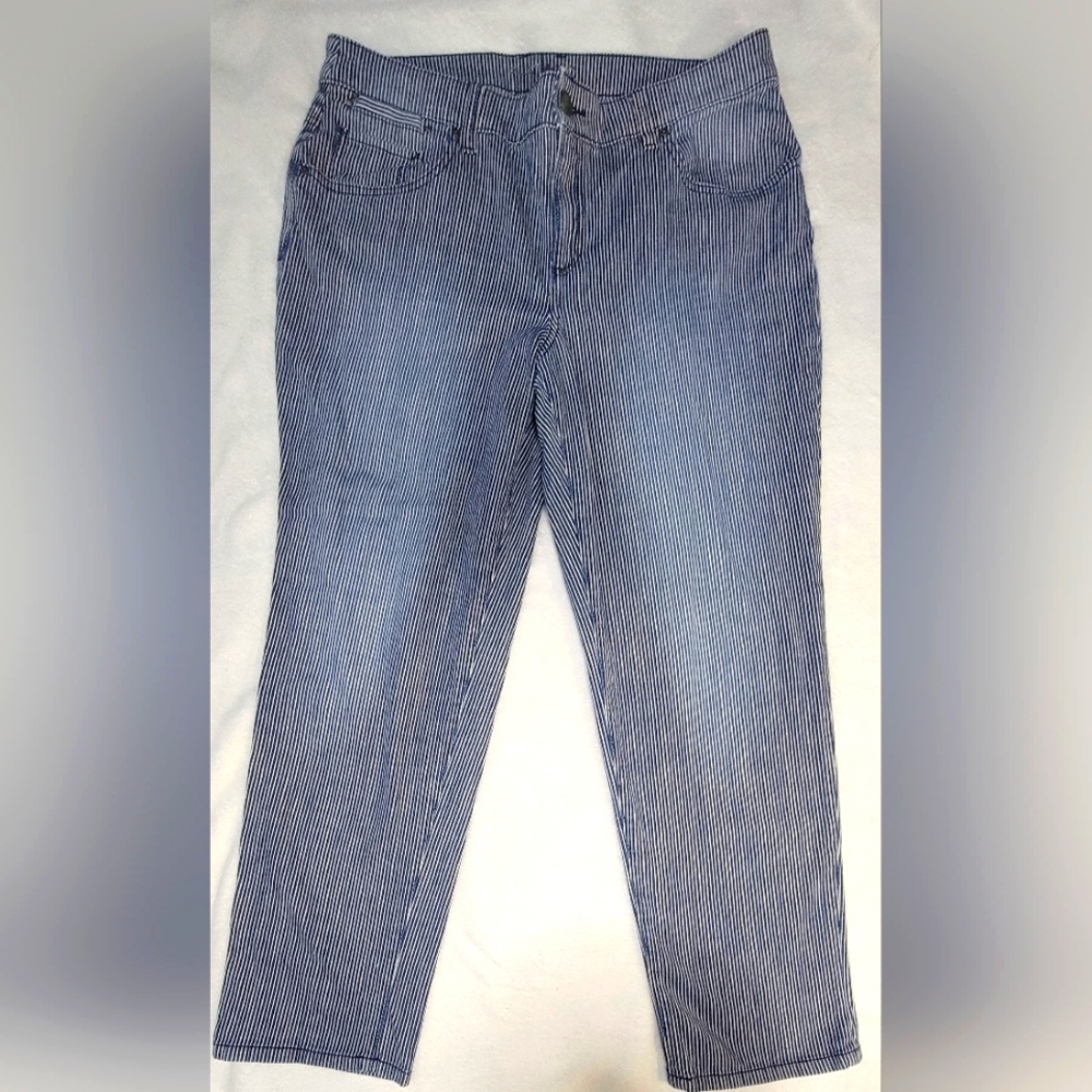 Chico's Platinum Skimmer Pants Size 2 Striped Large Blue White Stretch C…